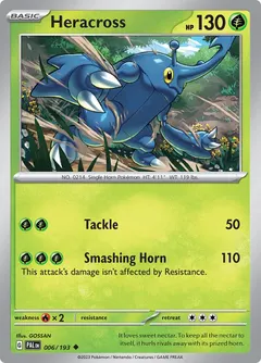 Heracross #6