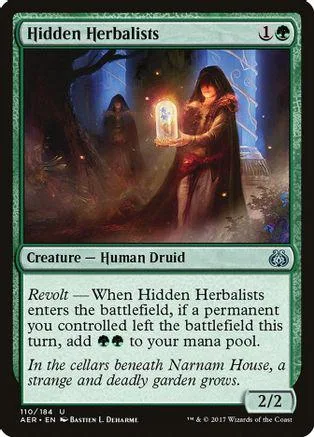 Dark druid figure holding glowing orb in a mystical, dark forest setting.