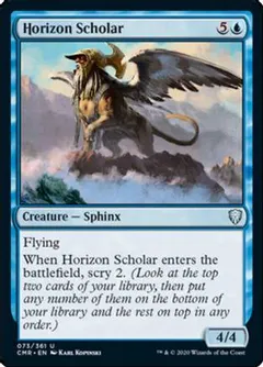 Horizon Scholar #73