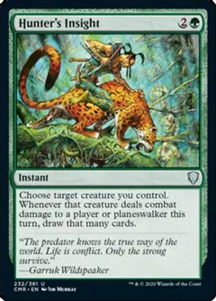 Hunter's Insight #232