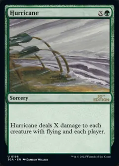Hurricane #196