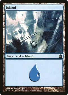 Island #306