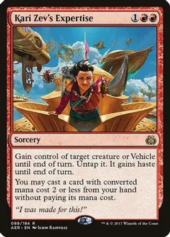 Kari Zev's Expertise