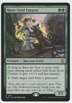 Keen-Eyed Curator #181