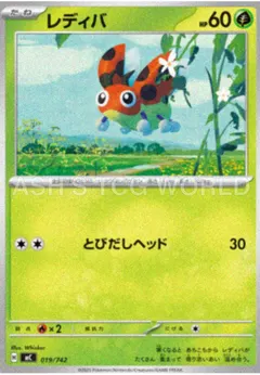 Ledyba #19
