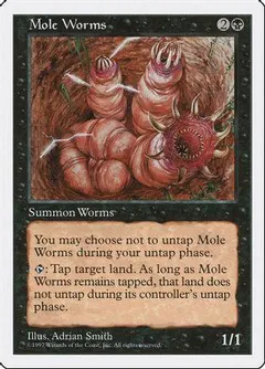 Mole Worms