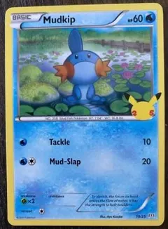 Mudkip #19