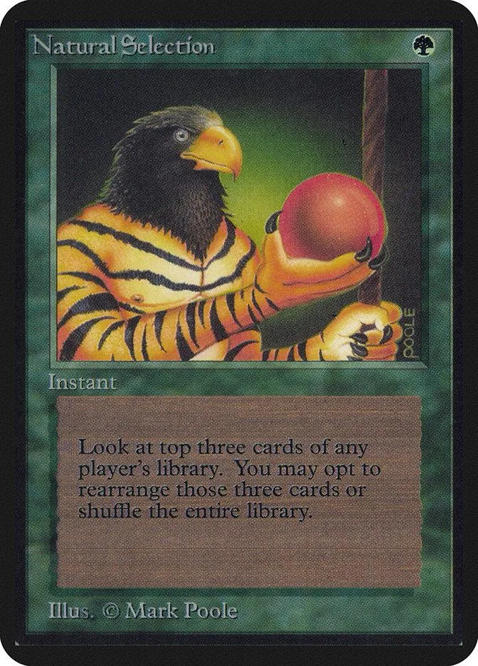 Black and yellow striped bird holding red ball on Magic: The Gathering card.