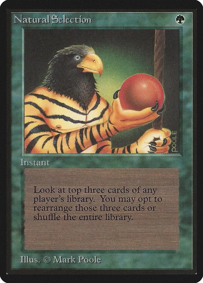 Striped bird holding red ball on green background. Magic: The Gathering card.