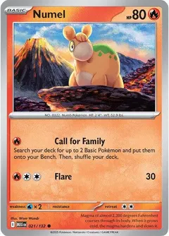 Numel #21