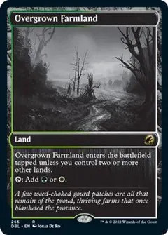 Overgrown Farmland #265