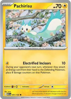 Pachirisu #51