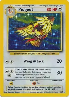 Pidgeot [No Symbol] #8