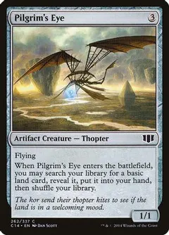 Pilgrim's Eye