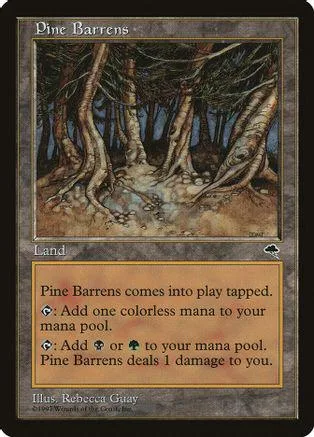 Dark forest landscape on a Magic: The Gathering land card.