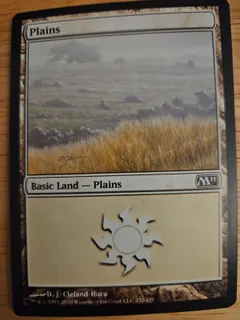 Plains #232