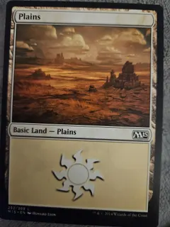 Plains #252