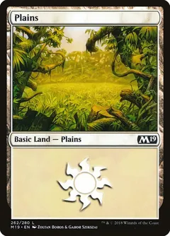 Plains #262