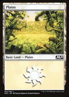 Plains #262