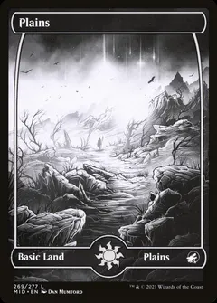 Plains #269