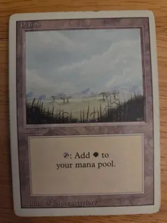 Plains #293