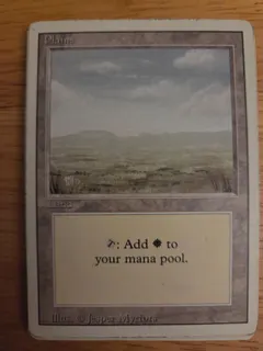 Plains #294