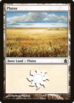 Plains #302