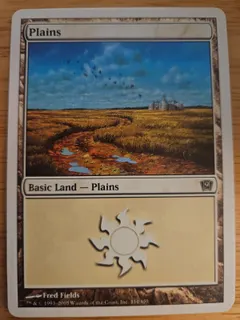 Plains #334