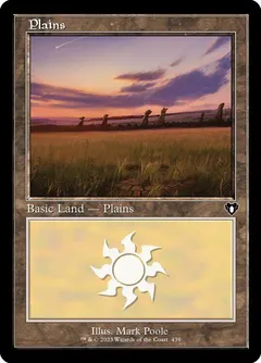Plains #439