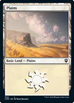 Plains #504