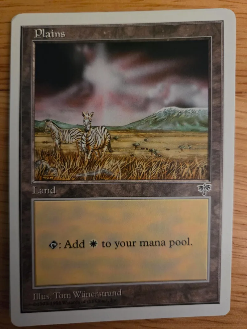 Plain land card art showing zebra in grassy field under stormy sky.