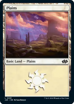 Plains #81