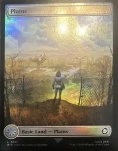 Plains #846