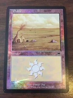 Plains