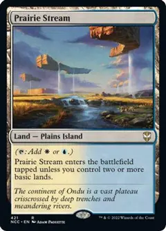 Prairie Stream #421