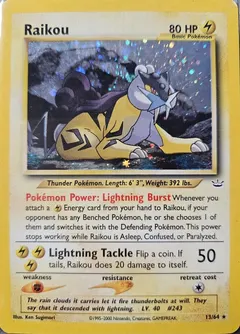 Raikou #13