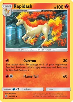 Rapidash #24