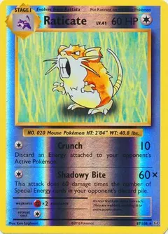 Raticate [Reverse Holo] #67