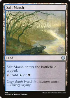 Salt Marsh #316