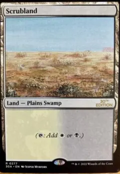Scrubland #277