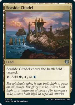 Seaside Citadel #1029