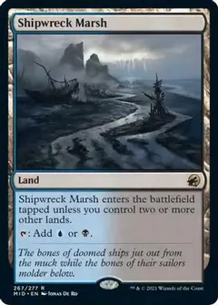 Shipwreck Marsh #267