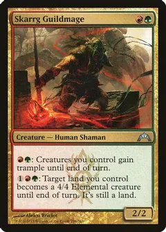 Skarrg Guildmage