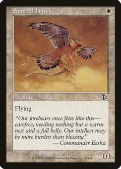 Suntail Hawk #28