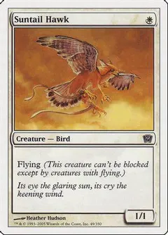 Suntail Hawk