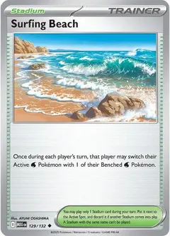 Surfing Beach #129