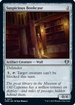Suspicious Bookcase #977