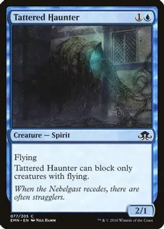 Tattered Haunter #77