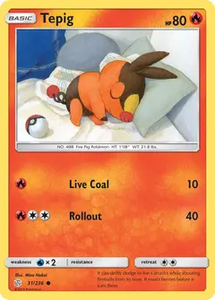 Tepig #31