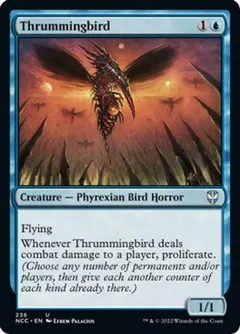 Thrummingbird #236
